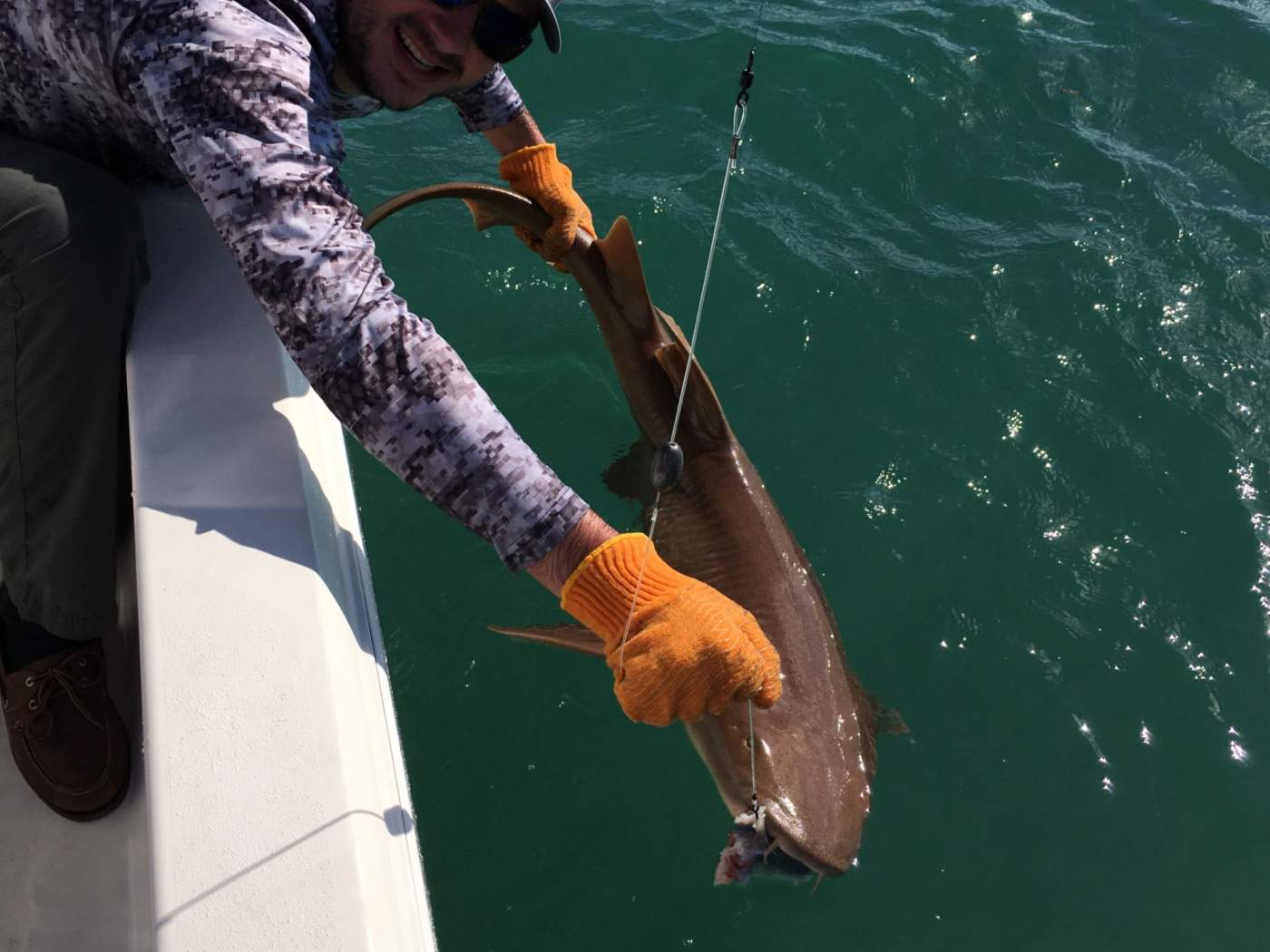 Man holding shark just above water