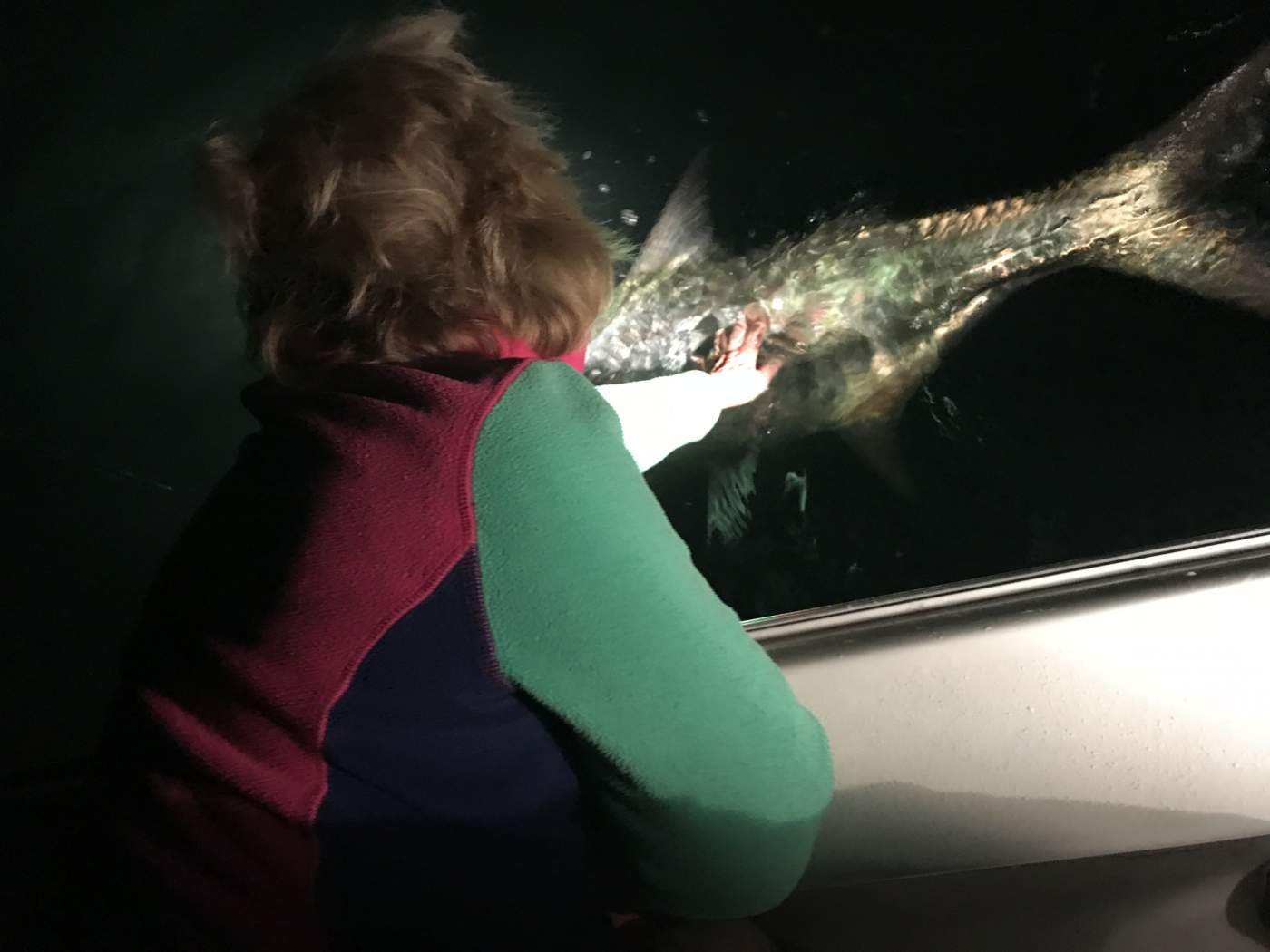 Lady touching tarpon in the water